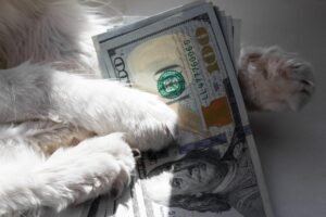 Average pet owner spending tops ,000 a year—learn about the cost breakdown