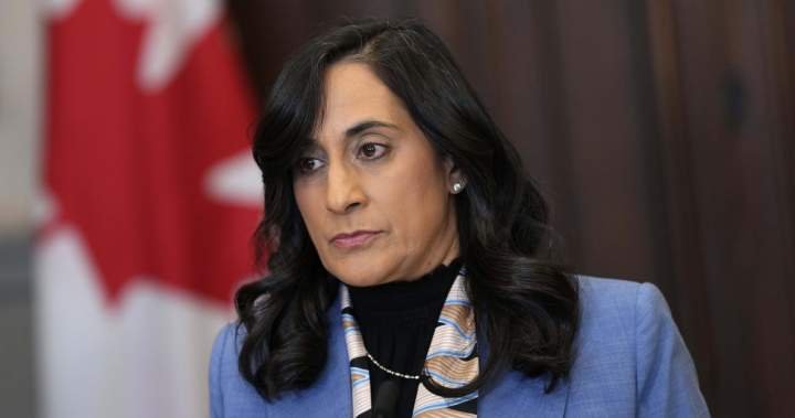 Canadian killed in Lebanon, Anand says while calling for ceasefire Canadian killed in Lebanon, Anand says while calling for ceasefire