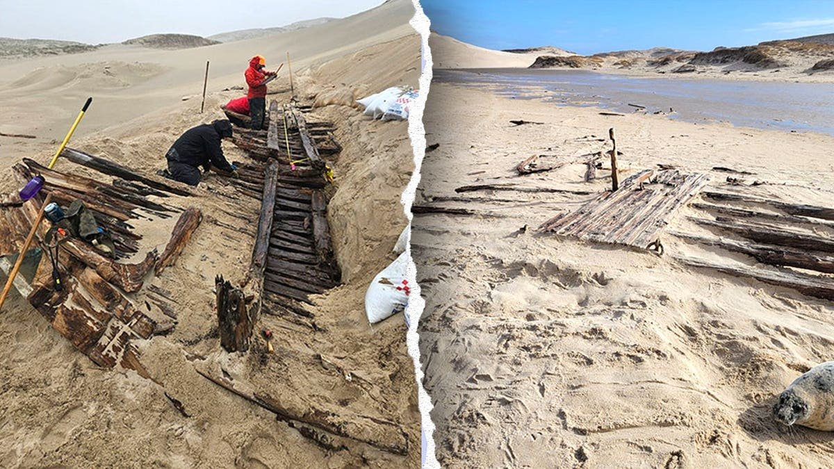 Split image of wreck site, archaeologists working next to exposed wood
