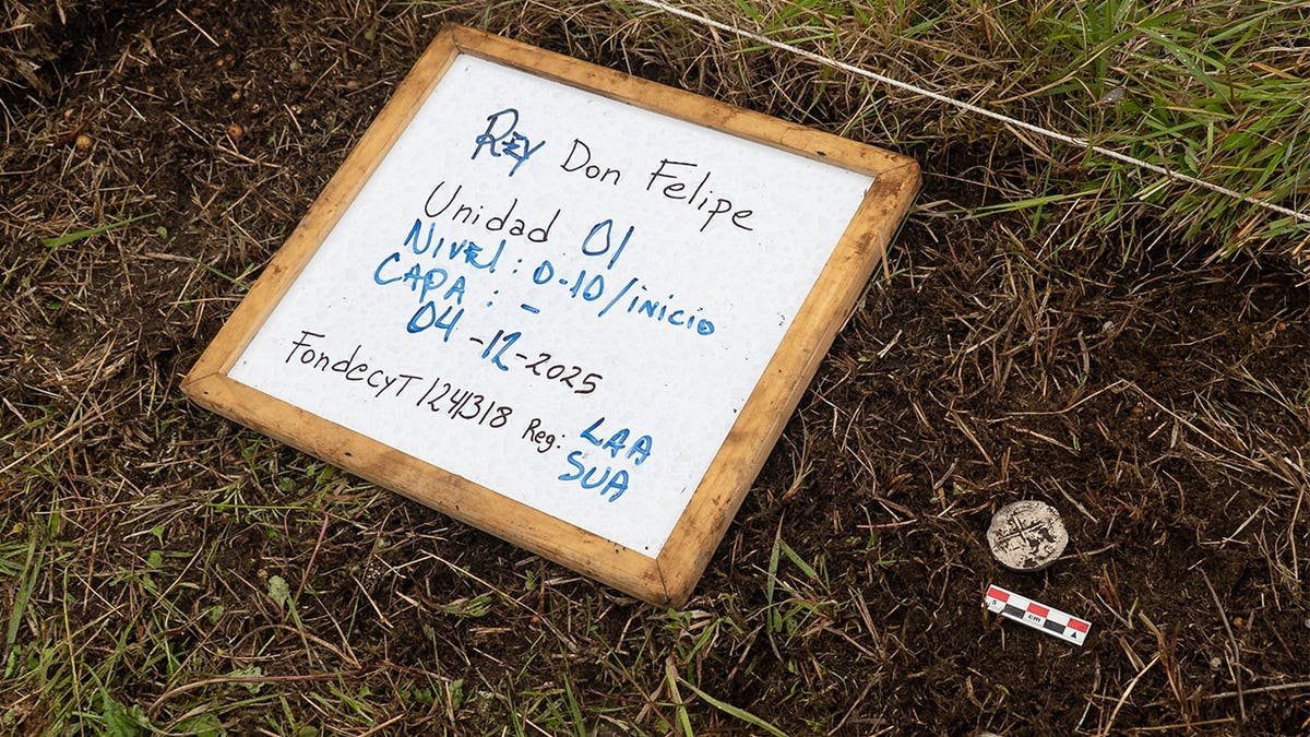 View of patch of soil where coin was found