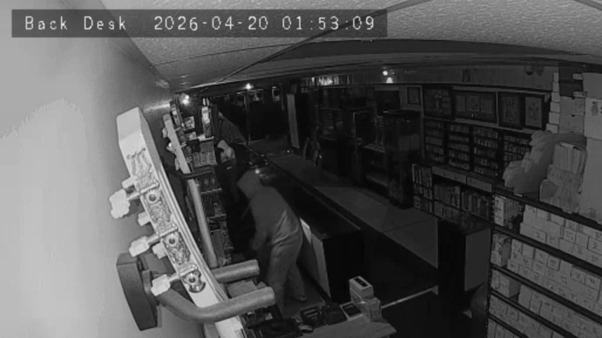 Thief caught-on-camera during heist