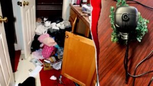 Judge describes illegal immigrant burglary crew’s cross country operation as ‘Ocean’s Eleven-style conduct’ Judge describes illegal immigrant burglary crew’s cross country operation as ‘Ocean’s Eleven-style conduct’