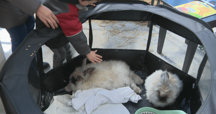 A look at Easter celebrations in Saskatoon A look at Easter celebrations in Saskatoon