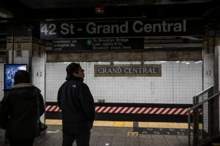 NYC cops shoot machete-wielding stabber at Grand Central Terminal, halting weekend trains
