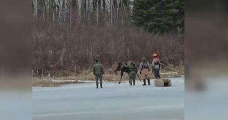 Moose rescued after falling through ice in Manitoba’s Nopiming Provincial Park