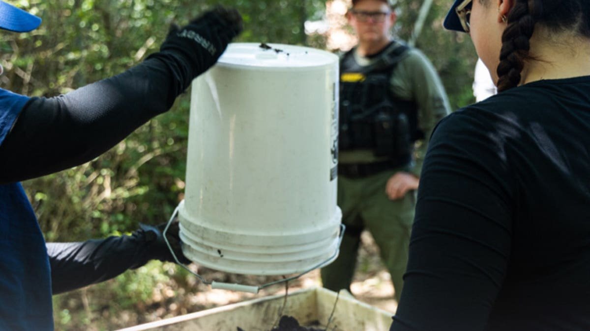 Police dump bucket during investigation into human remains