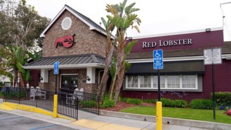 Red Lobster brings back fan-favorite ‘Endless Shrimp’ deal in long-awaited return