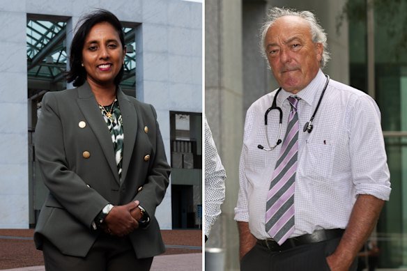 Labor backbenchers Michelle Ananda-Rajah and Mike Freelander.