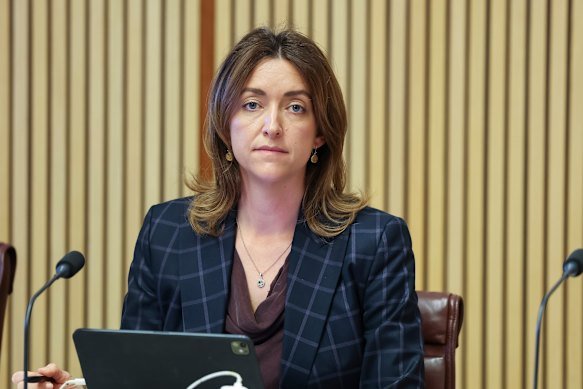 Chair Senator Steph Hodgins-May.