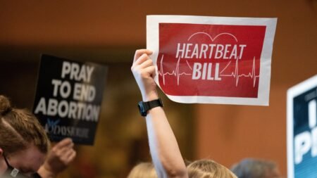 Wyoming court blocks fetal heartbeat abortion law