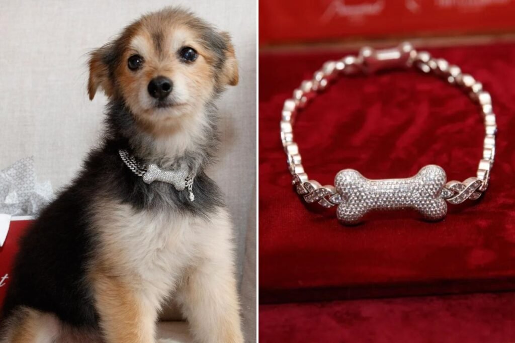 Canine couture gets a major glow-up with gold, diamond and ruby custom collars — for a whopping 0K