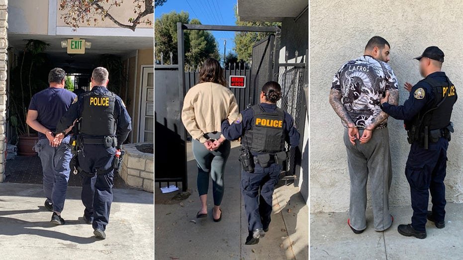 Bear costume arrests