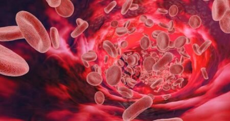 McGill researchers develop ‘life-saving’ way to stop bleeding fast