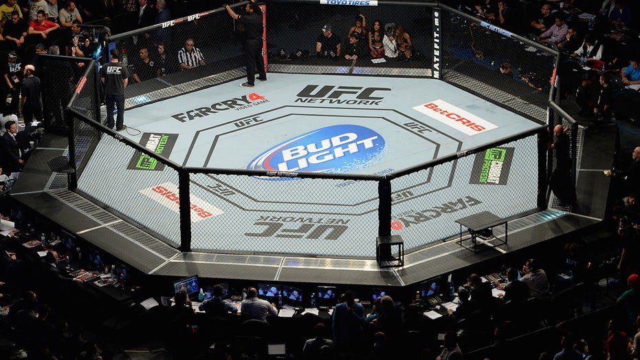 Bud Light logo in octagon