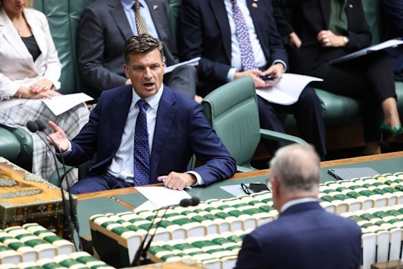 Opposition Leader Angus Taylor and Prime Minister Anthony Albanese in question time last month.