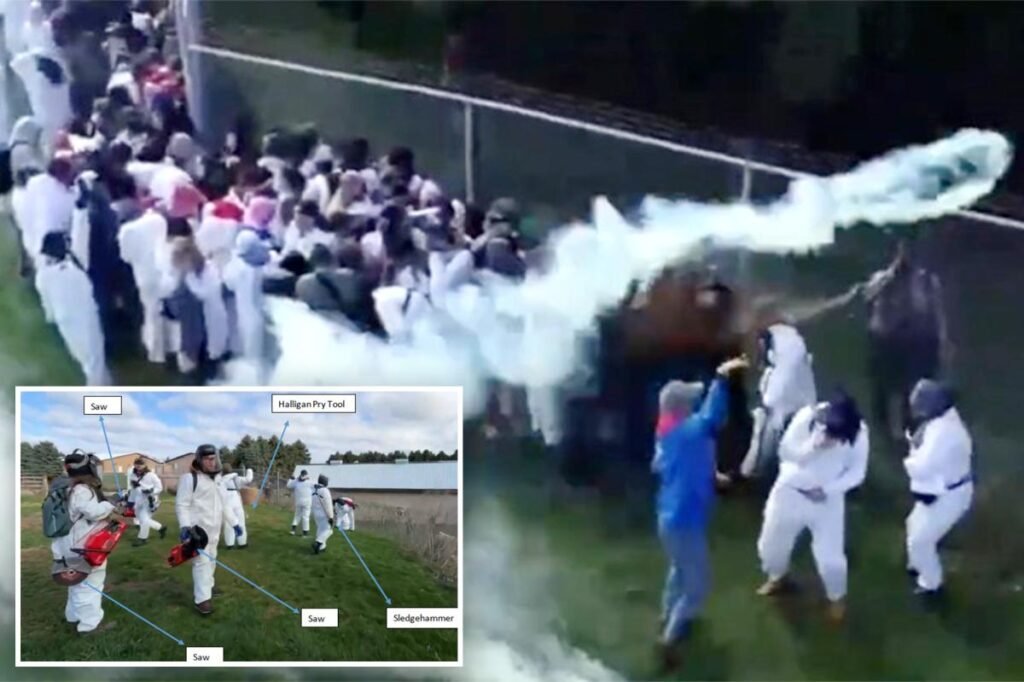 Cops fire rubber bullets, tear gas to fend off 1,000 animal rights activists attempting to free beagles from research lab