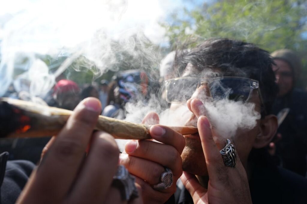 Trump admin rewrites the rulebook on weed with reclassification — making research and banking much easier