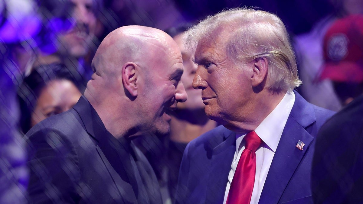 UFC CEO Dana White talking to President-elect Donald Trump ringside at UFC 309