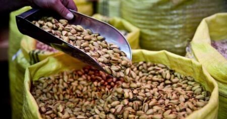 Year-long salmonella outbreak from imported pistachios ‘difficult to control.’ Here’s why Year-long salmonella outbreak from imported pistachios ‘difficult to control.’ Here’s why