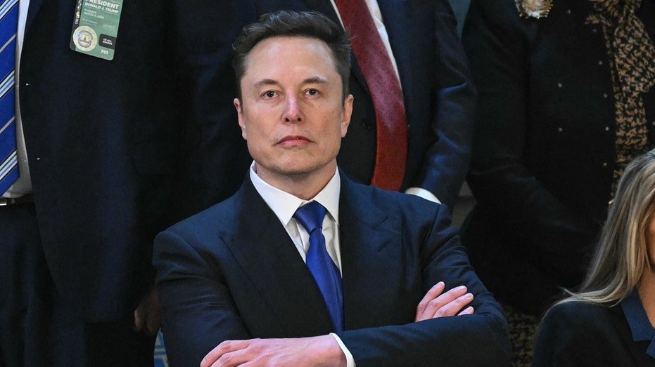 Elon Musk at Congress.