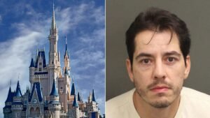 Disney World guest allegedly grabbed employee during character photo line, gets lifetime ban from parks