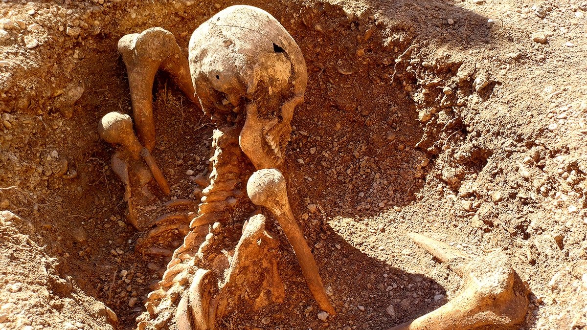 Skeleton in seated position on school site