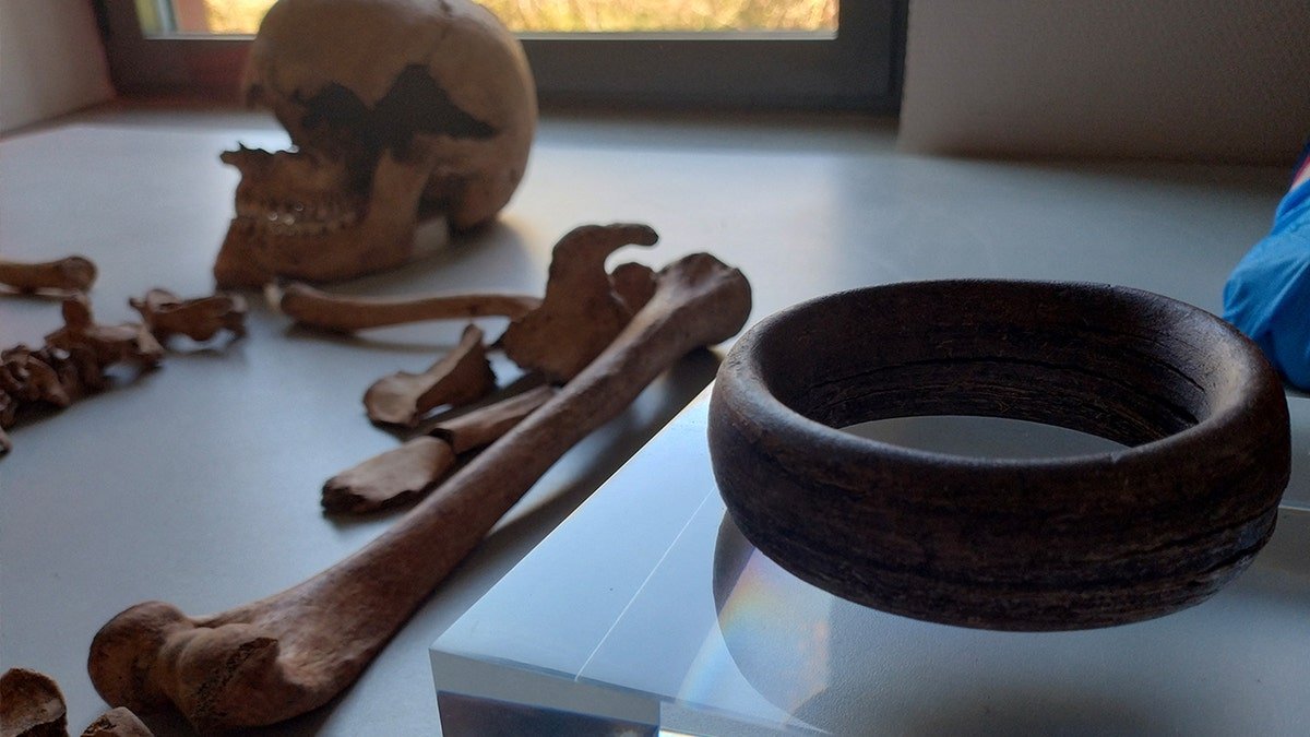 Skeletons, stone arm band on display in lab