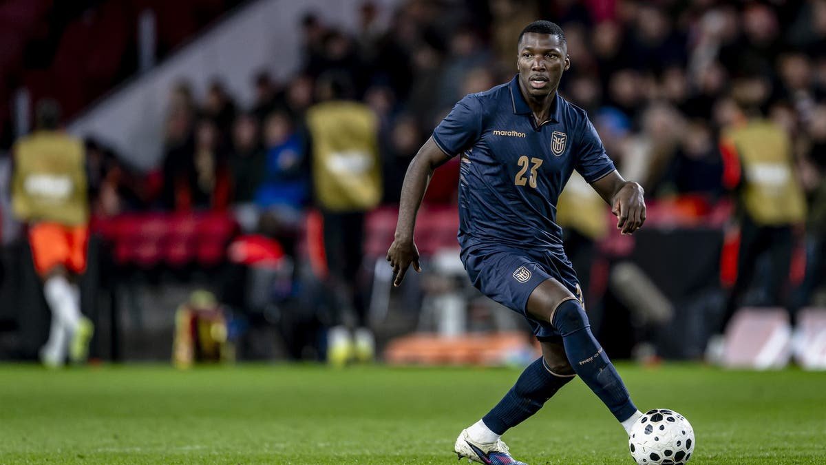 (Photo by Stefan Koops/EYE4IMAGES/NurPhoto via Getty Images)