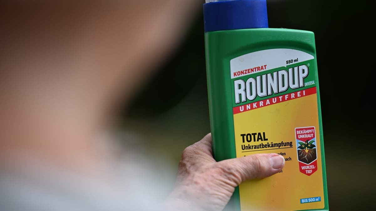 A woman holding a bottle of Roundup weedkiller in her garden