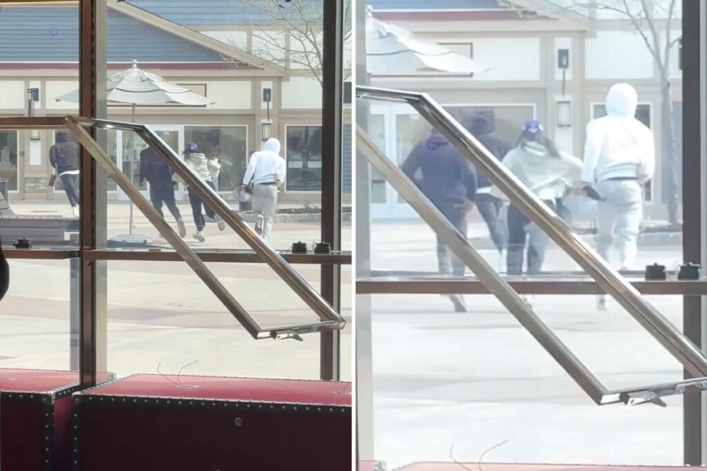 4 thieves steal Gucci handbags worth K in daylight smash-and-grab at NY shopping outlet