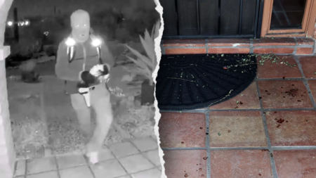 Nancy Guthrie’s front door blood evidence points to ‘single abductor’: former FBI profiler