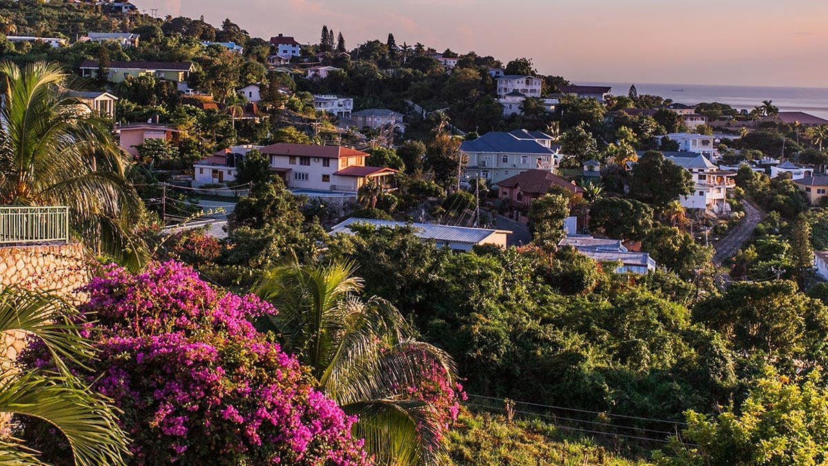 Woman flies from Kingston, Jamaica to JFK while pregnant