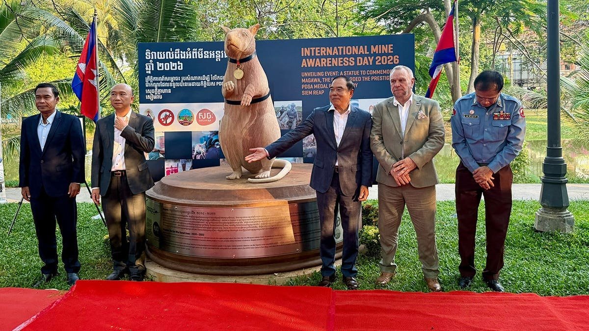 Statue of Magawa the minesweeping rat unveiled in Siem Reap Cambodia
