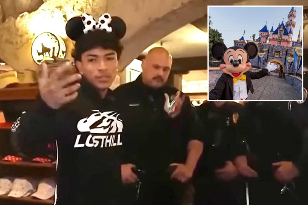 Disney Parks to crack down on influencer behavior after disturbing ‘swatting’ incident, insiders say