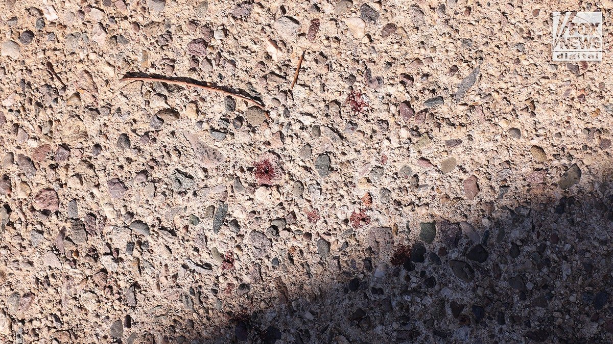 Close-up of red droplets on concrete walkway at Nancy Guthrie's home in Tucson