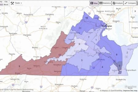 Virginia court pauses implementation of Democrat-drawn congressional map 