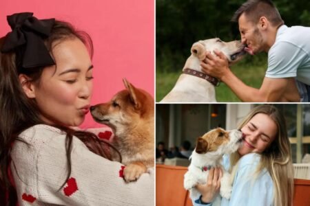 Dream job for dog lovers? Earn K per hour to kiss canines and sniff their breath Dream job for dog lovers? Earn K per hour to kiss canines and sniff their breath