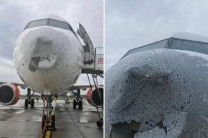 Scary photos show shocking damage to plane battered by hail after it flew into a violent storm: ‘Serious threats’