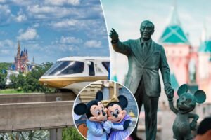 Disney fans rejoice as parks restore gendered greetings after ‘inclusive’ scrub: ‘We’re so f- -king back’