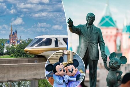 Disney fans rejoice as parks restore gendered greetings after ‘inclusive’ scrub: ‘We’re so f- -king back’