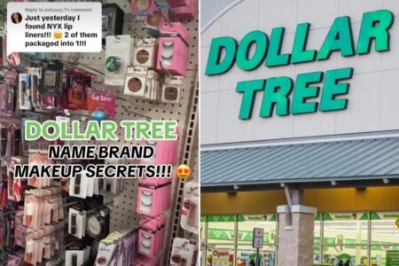 Exclusive | ‘Sephora on a budget!’ Dollar Tree besieged by bougie influencers prowling for beauty bargains — but experts preach caution