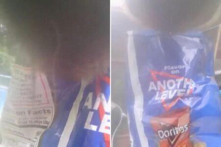 Sneaky bear snatches bag of Doritos left outside CT home, video shows