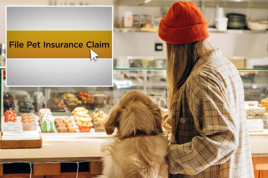 The true cost of being a pet parent in 2026: What you need to know The true cost of being a pet parent in 2026: What you need to know