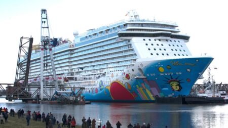 Coast Guard conducts search after crew member falls overboard from Norwegian Cruise ship