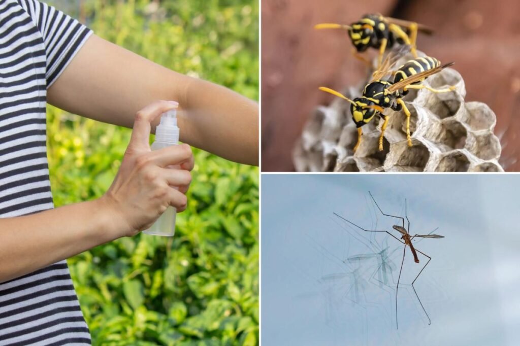 Bees & wasps & mosquitos — oh, my! Yelp reveals the top US cities buzzing with pest activity