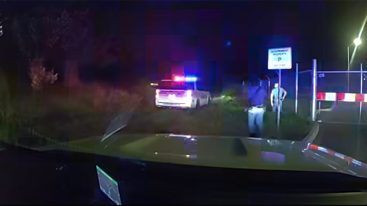 Deputies detain suspect near fence line after K9 track ends police chase near JBLM