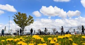 Why allergy seasons are becoming ‘more intense overall’ in Canada