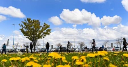 Why allergy seasons are becoming ‘more intense overall’ in Canada