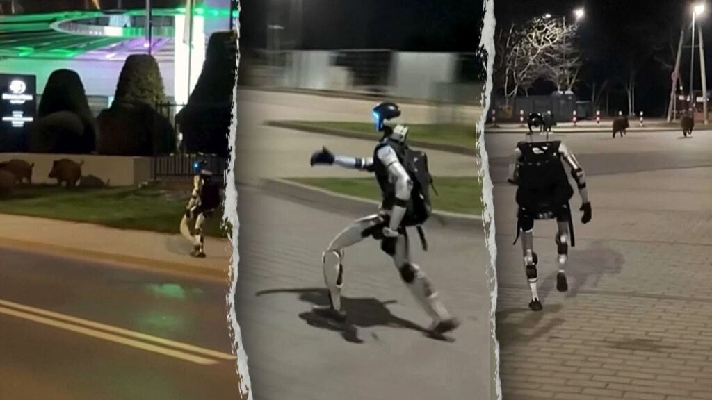 Viral video shows humanoid robot chasing wild boars off street in bizarre encounter Viral video shows humanoid robot chasing wild boars off street in bizarre encounter