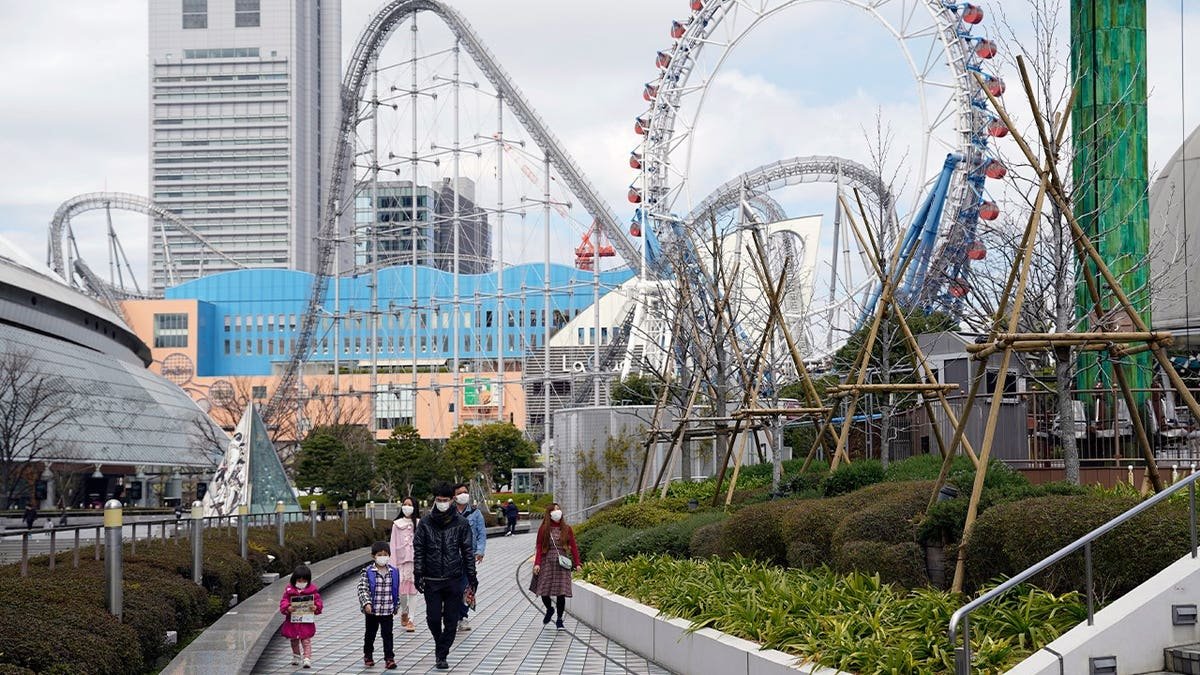 amusement park rides seen behind visitors
